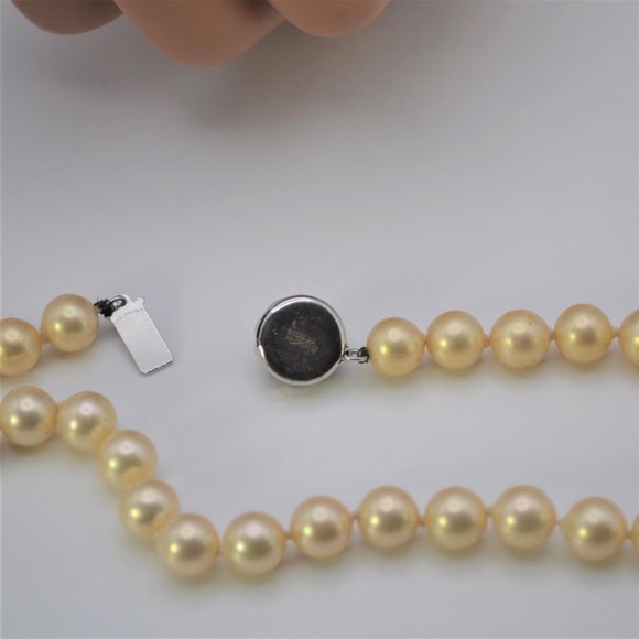 Vintage Majorica Cream Rose Pearl Choker Necklace 8mm - Picture 6 of 11